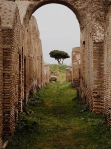 ruins near tree